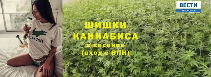 Шишки марихуана Ganja  Рошаль 